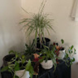 Meet your Posher, Marilyn